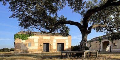 Bodega Arrayán