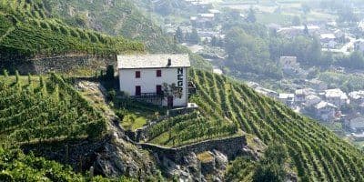 Casa Vinicola Nino Negri